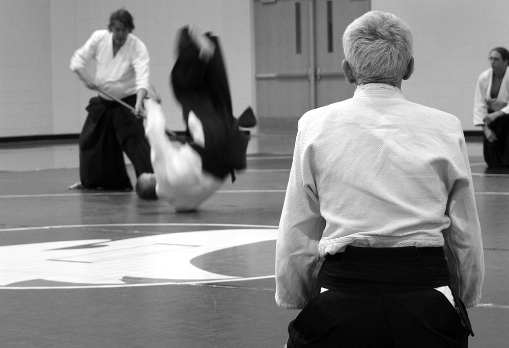 Aikido Training